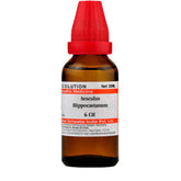 Dr. Willmar Schwabe India Aesculus Hippocastan Dilution - Safuron Naturals